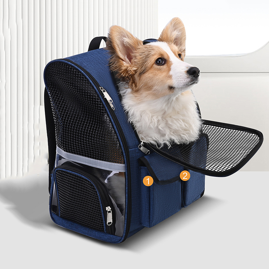 Zaino Trasportino Pieghevole i - Foldable Backpack Small recensione e prezzo
